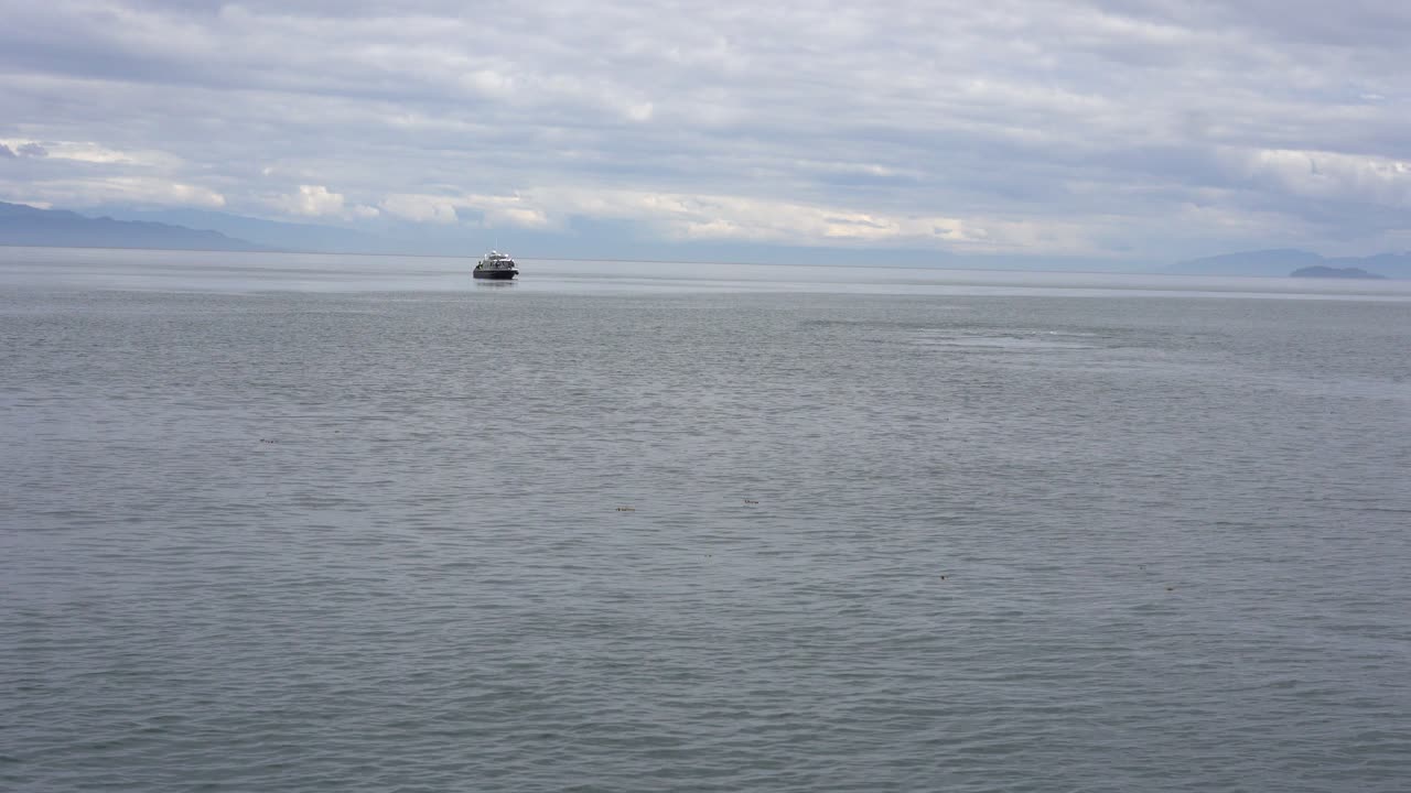 꼬리를 바다로 파고드는 고래