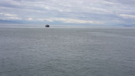 Whale-Breaching-Tail-Into-ocean