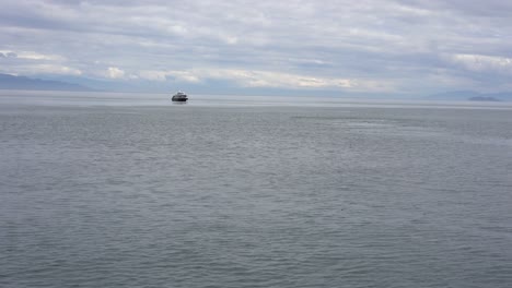 whale breaching tail into ocean