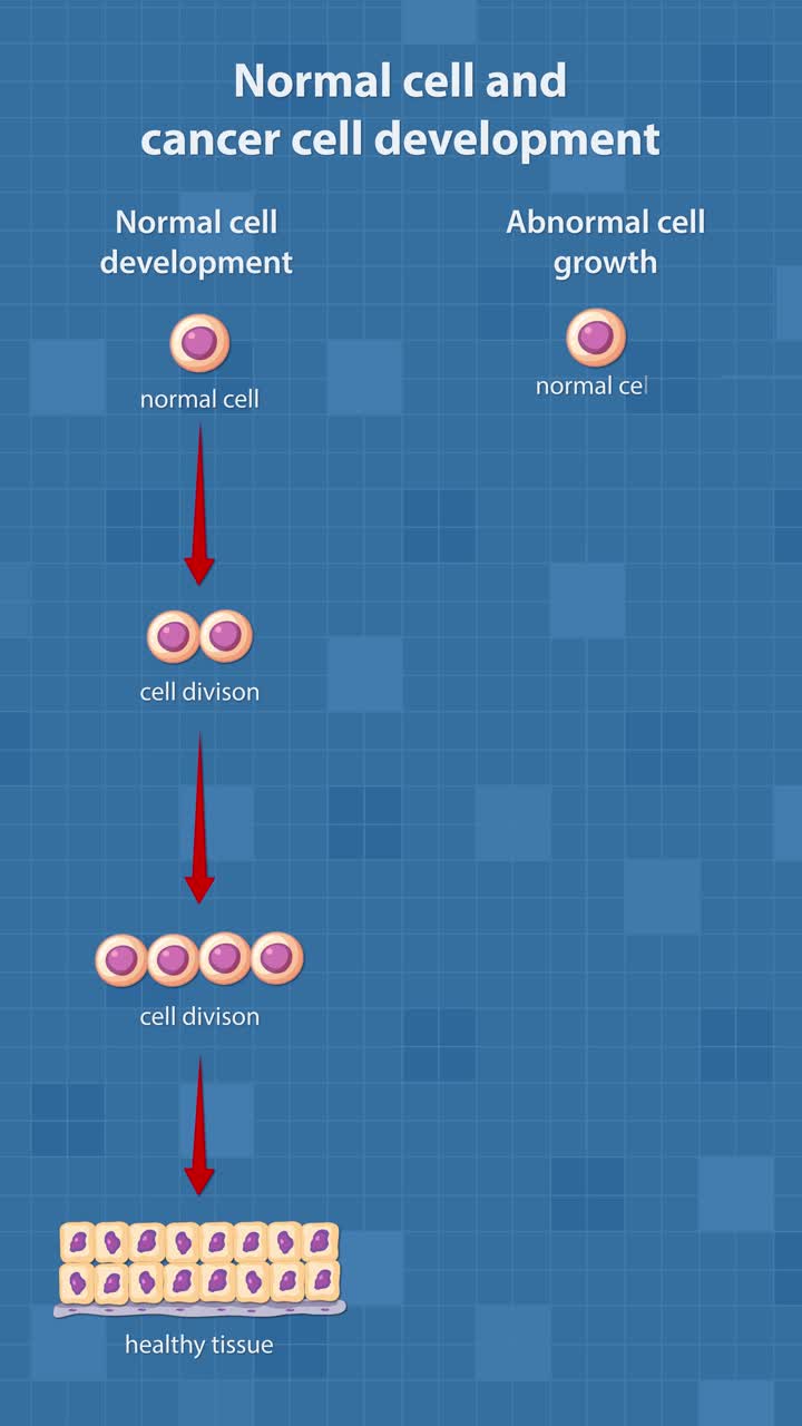 Animated sequence visually contrasts normal cell division forming healthy tissue with abnormal cancer cell growth, highlighting differences in cellular behavior and proliferation