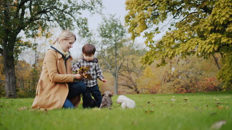 Bebé-Con-Mamá-Y-Cachorro-Jugando-En-El-Parque