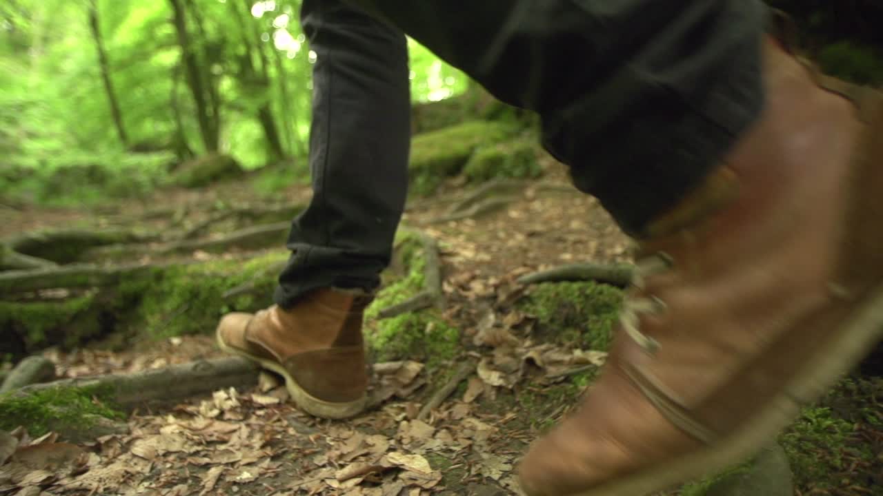 caminar sobre raíces en el bosque en la naturaleza con musgo y hojas y árboles verdes vista de gusano en cámara lenta