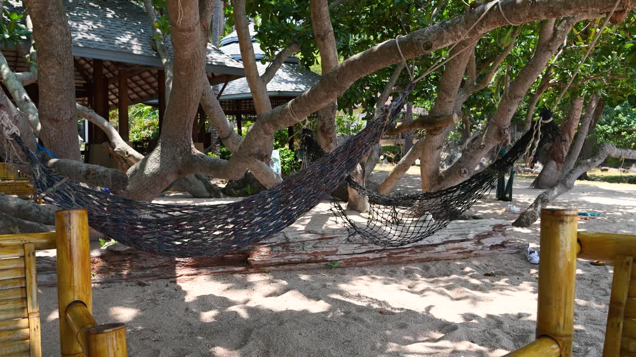 Calm scenery with hanging hammocks on stunning beach