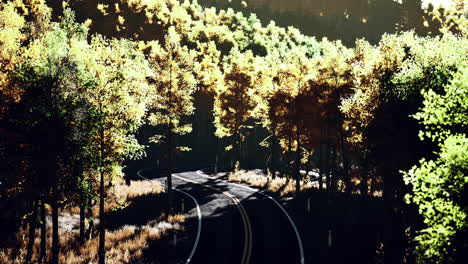 curvy asphalt road through forest in autumn