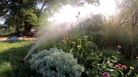 Bewässerung-Eines-Hausgartens-Mit-Sprinkleranlage-Im-Sonnenschein