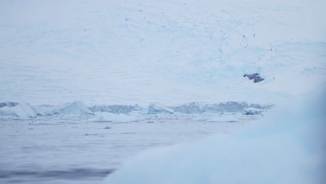 big beautiful glacier in winter landscape in antarctica on zodiac boat trip tour excursion on antarctic peninsula, tracking moving shot with movement in icy winter scenery on antarctic peninsula