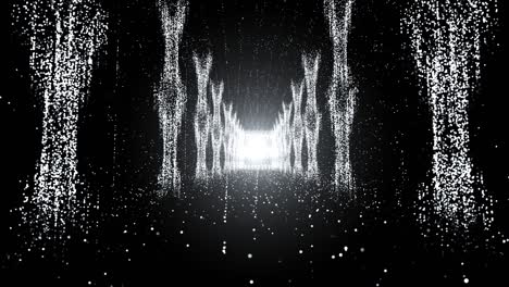 white particular on stage loop