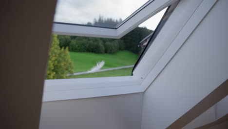 Feather falls through the window on the wooden floor inside a house