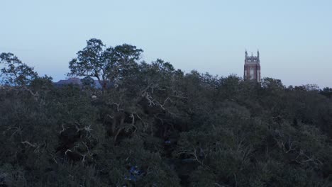 universidad de loyola en nueva orleans, la