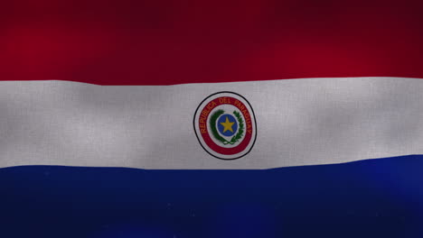 the paraguay national waving flag