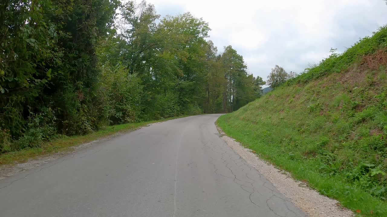 Bil kører på vejen langs skoven