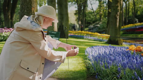 visitor photographs flowerbed in the keukenof amsterdam