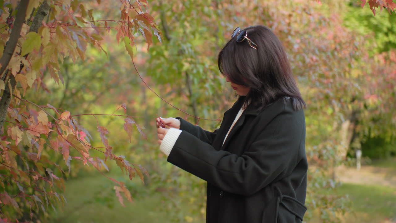 우아한 여인이 가을 나무에서 나뭇잎을 부드럽게 떼어내 차분하게 집중하며 다채로운 단풍을 관찰해요. 조용한 공원에서 검은색 코트를 입고 부드러운 빛을 받으며 가을 시즌 동안 자연을 감상하는 평온한 순간이에요.