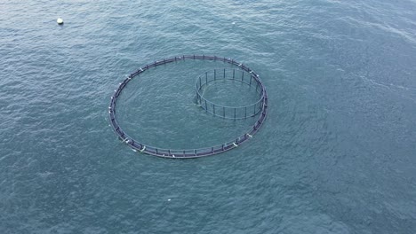 fish farm with lots of fish enclosures in sea.