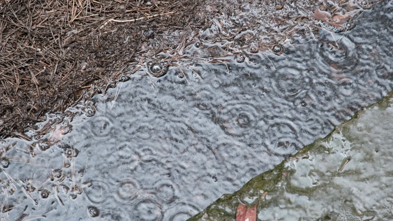 비가 오는 날 에 방울 이 진 웅이 에 떨어지는 것