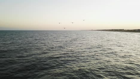 Plano-General-De-Pájaros-Volando-Al-Atardecer-En-La-Playa-Mientras-Los-Pájaros-Se-Sumergen-En-Bombas-Para-Pescar