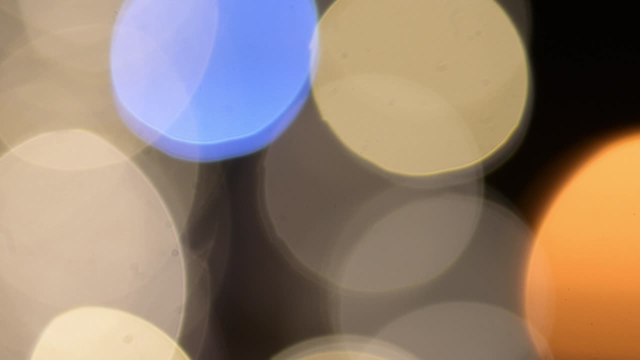 밤의 불빛 bokhee