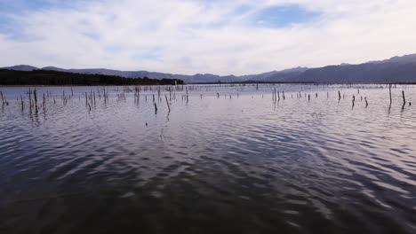 Luftbogen-über-Einem-Damm-Mit-Seltsamen,-Halb-Unter-Wasser-Stehenden-Toten-Bäumen