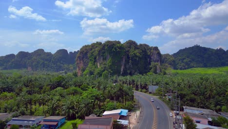 Tropische-Landschaft-Karst-Berge-Straße-Palmen