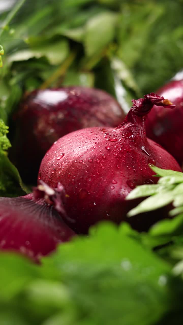 Close-up of wet red onions