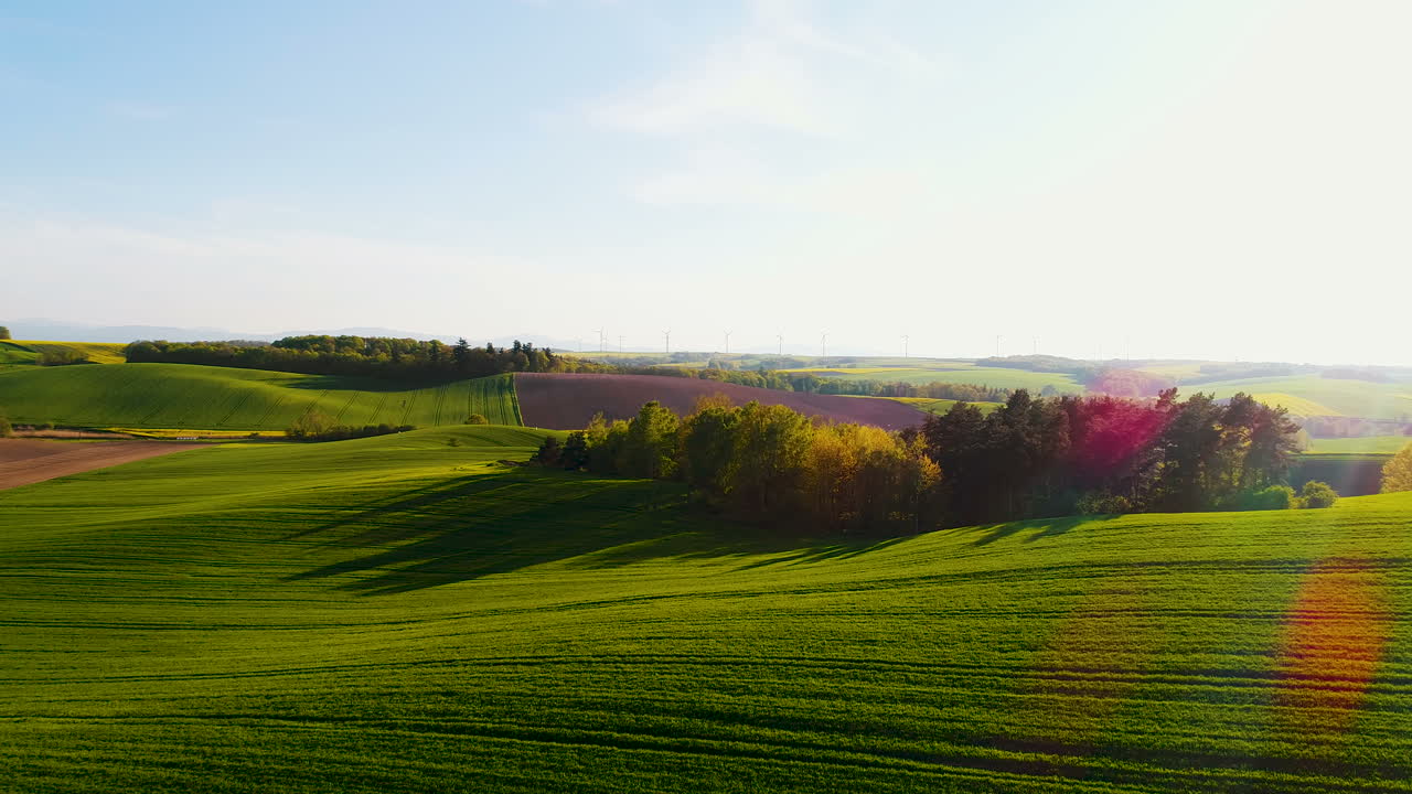 Fields With Various Types Of Agriculture 4K 6