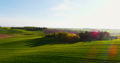 Fields-With-Various-Types-Of-Agriculture-4K-6