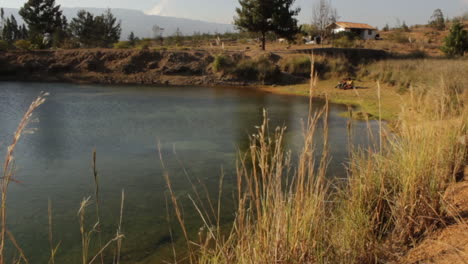 a lake in the andean region of colombia with a house in the scene