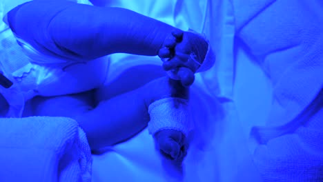 recién nacido frágil en una incubadora neonatal