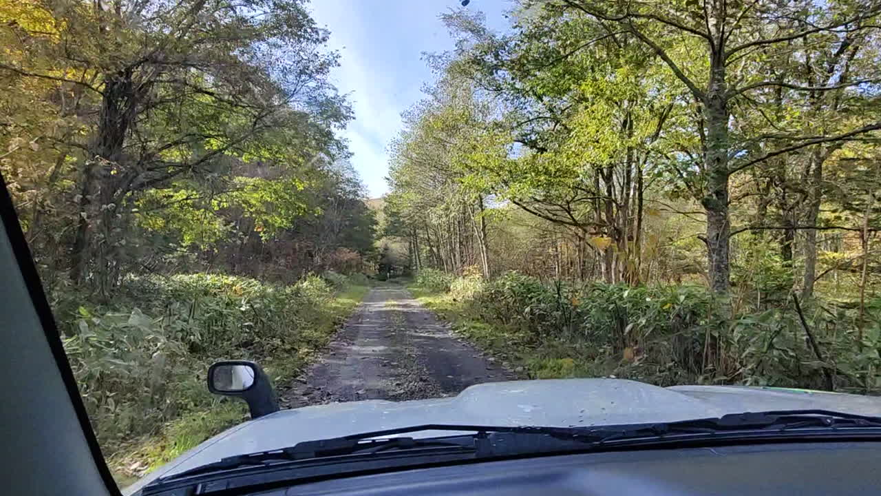 toma de mano mientras conducía un suzuki jimny a través de un camino de tierra con vistas a un bosque en un brillante día de otoño