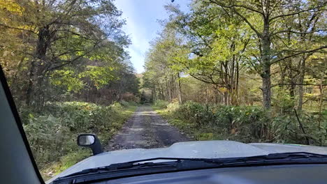 Toma-De-Mano-Mientras-Conducía-Un-Suzuki-Jimny-A-Través-De-Un-Camino-De-Tierra-Con-Vistas-A-Un-Bosque-En-Un-Brillante-Día-De-Otoño