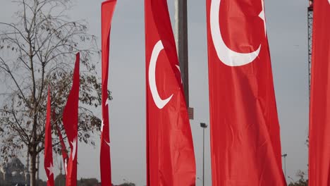 turkish flags waving in the wind