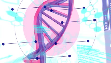 animación del procesamiento de datos médicos y el hilado de cadenas de adn