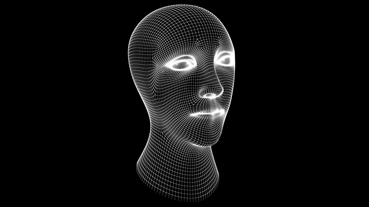 The mesh of a head. Looping footage has 4K resolution.