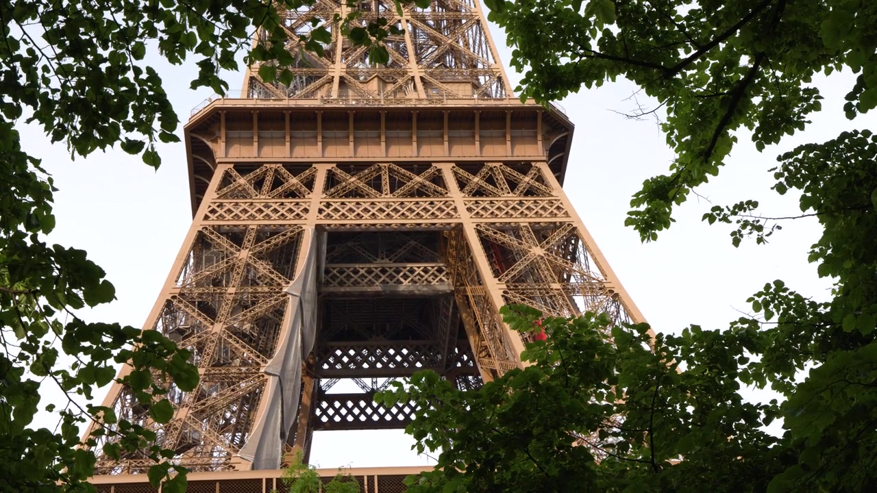 Ripresa dal basso della Torre Eiffel incorniciata da foglie verdi e rigogliose sotto la luce del giorno