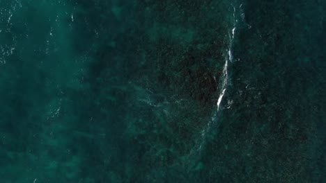 Vista-De-Pájaro-Toma-Estática-De-Arrecifes-Oceánicos-Azules-Claros-Y-Corrientes-De-Olas-En-Hawaii