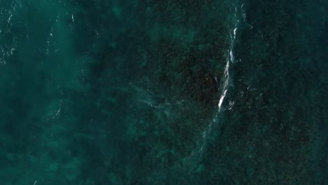 birds eye view static shot of clear blue ocean reef and wave currents in hawaii