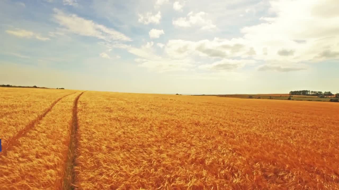 vista aérea de un agricultor caminando por sus campos