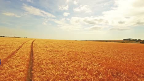 Aerial-view-of-farmer-walking-through-his-fields