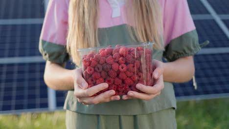 woman holds a plastic container with fresh raspberries. the panels of the solar power plant can be seen in the background