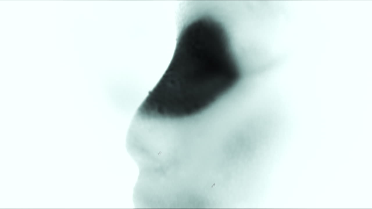 cara de maniquí en paleta negativa