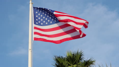 united states flag waves gently in breeze against blue sky and palm tree