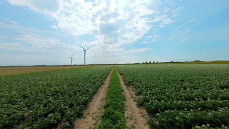 aerial drone flight alongside potato farm field with running wind turbines