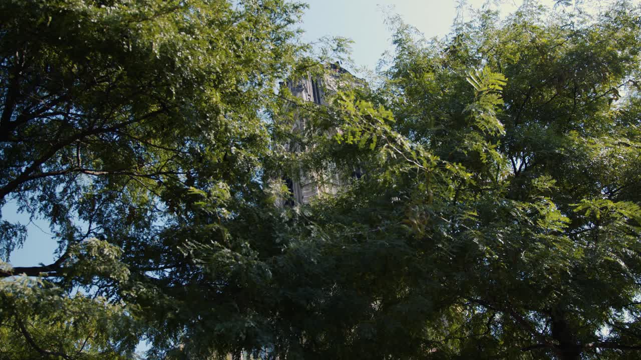 Laurenskerk's clock tower in Rotterdam, the Netherlands, seen through trees