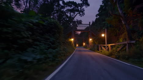night road through a lush forest