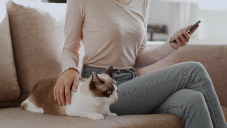 woman relaxing on couch with cat