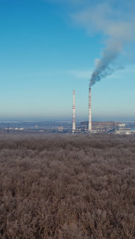 flight over the forest to industrial factory. top view of brown trees in winter. manufacturing with two pipes among nature under blue sky. aerial view. vertical video