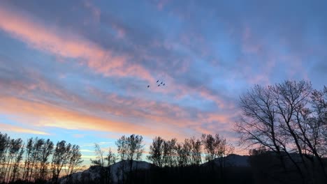 Cielo-De-Puesta-De-Sol-Lleno-De-Pájaros-Voladores-En-Toma-Panorámica