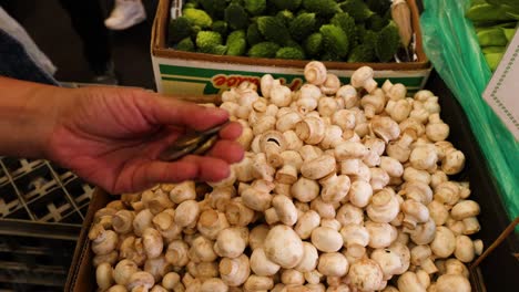 hand holding coins over mushrooms in market