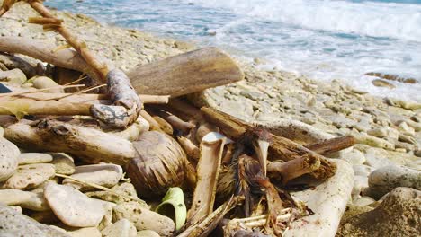 Debris,-Woods-And-A-Dead-Bird-Washed-Ashore-On-The-Rocky-Coastline-In-Kralendijk,-Bonaire---close-up