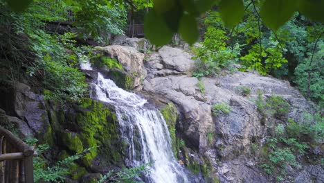 cascada en cascada sobre la cornisa, cascadas de bosque exuberante.